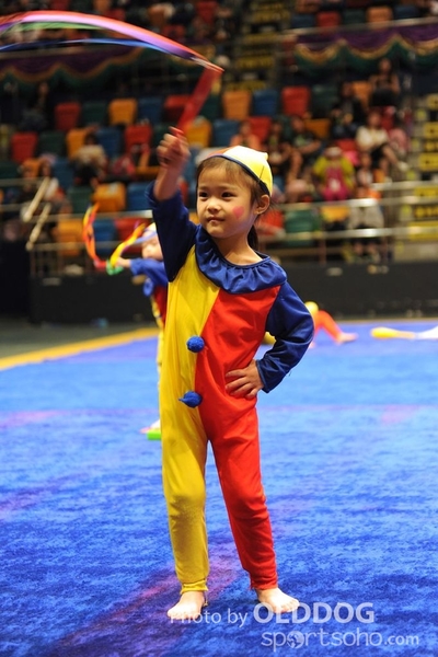 Gymnastics (676)