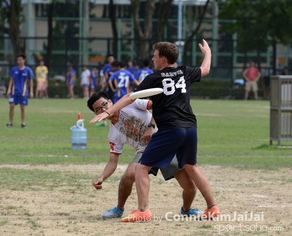 DSC_1217_副本