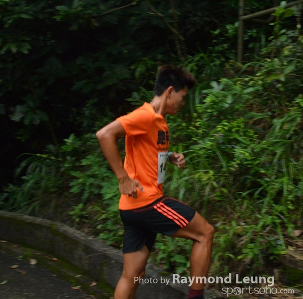 Raymond 31