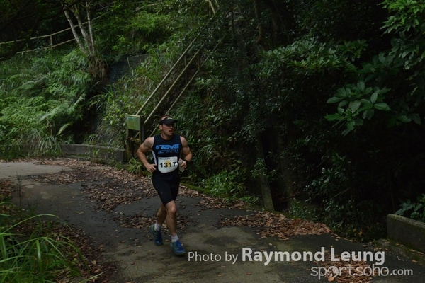 Raymond 37