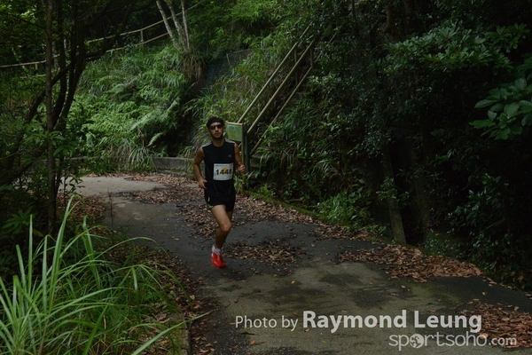 Raymond 41
