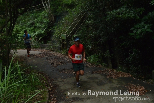Raymond 51
