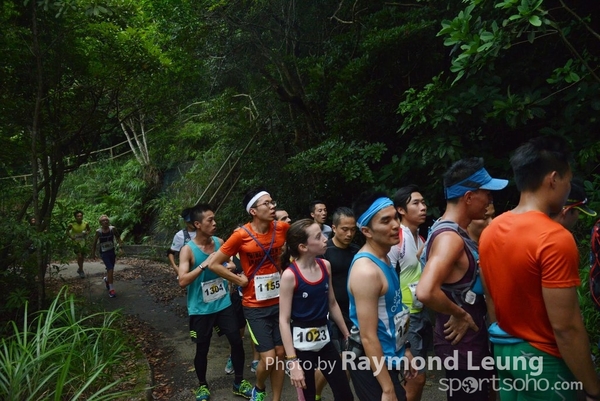 Raymond 133