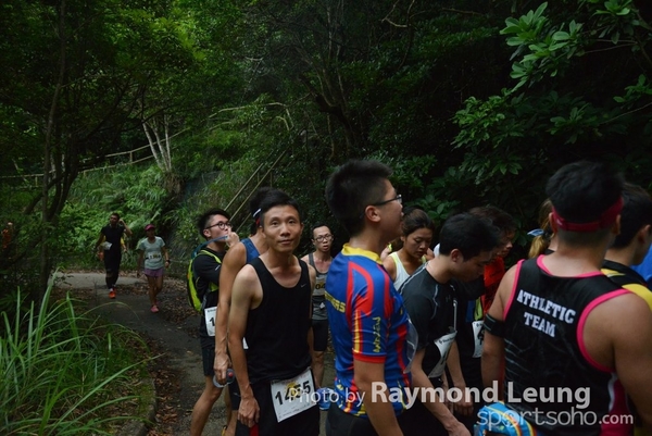 Raymond 155