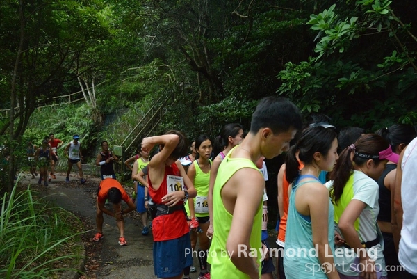 Raymond 173