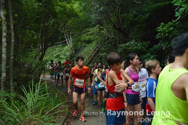 Raymond 175