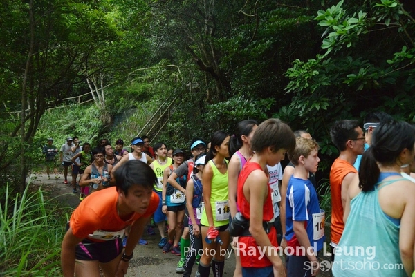 Raymond 176