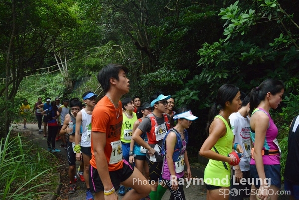 Raymond 178