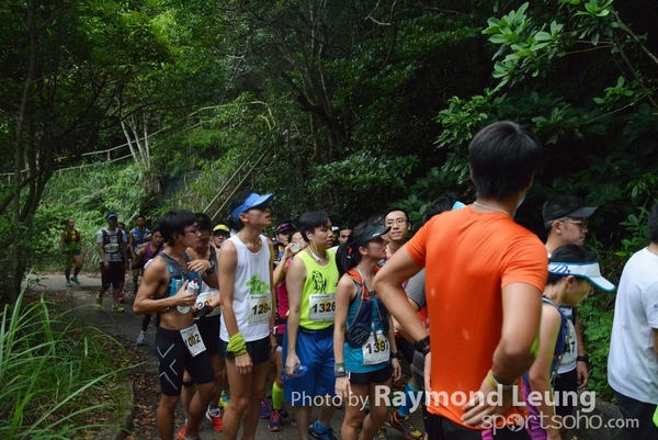Raymond 181
