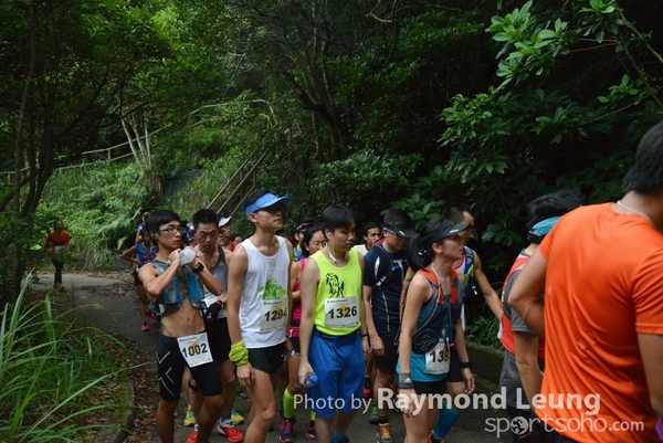 Raymond 182