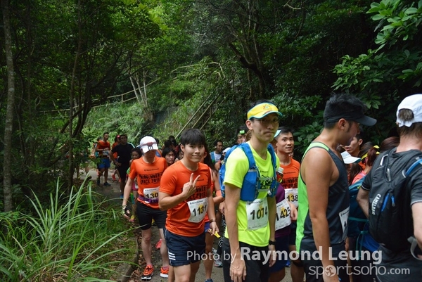 Raymond 210