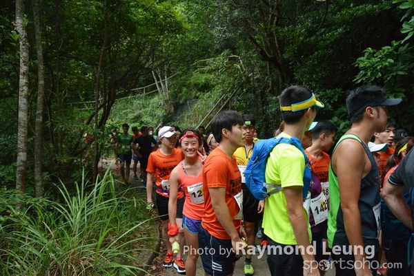 Raymond 211