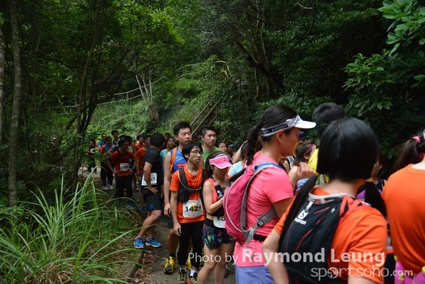 Raymond 216