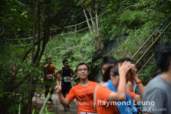 Raymond 230