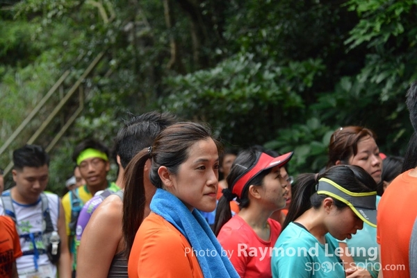 Raymond 231