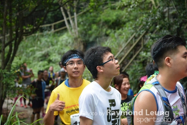 Raymond 236