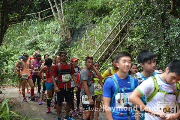 Raymond 238