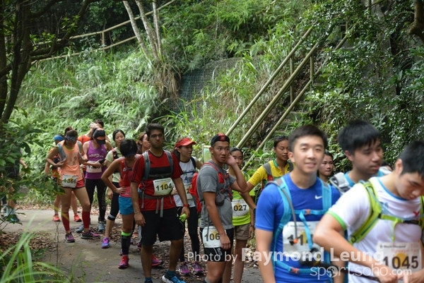 Raymond 239