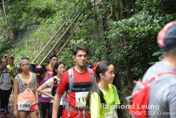 Raymond 245