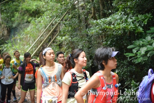 Raymond 247