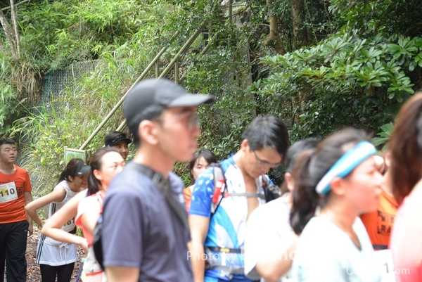 Raymond 272