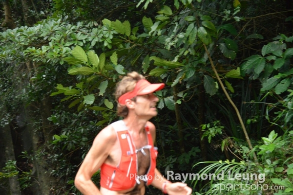 Raymond 290
