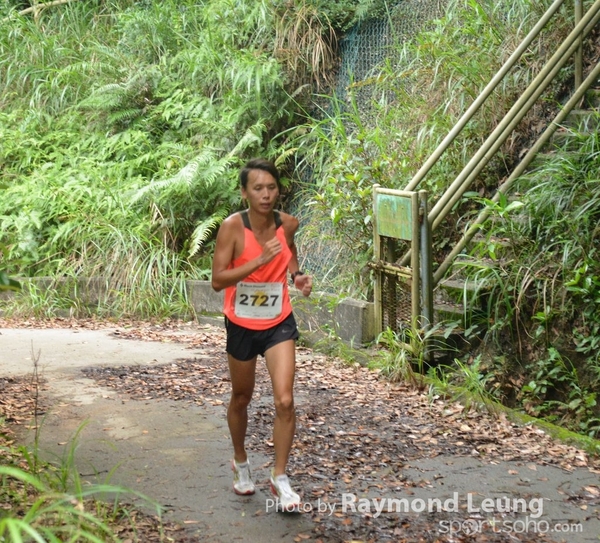 Raymond 293