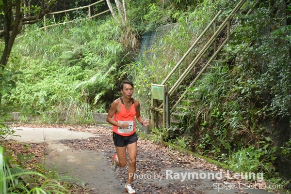 Raymond 294