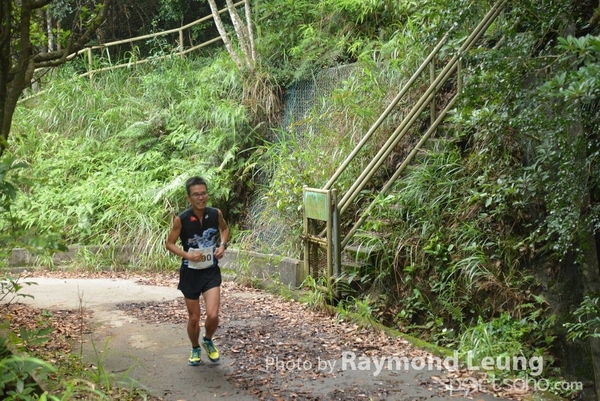 Raymond 295