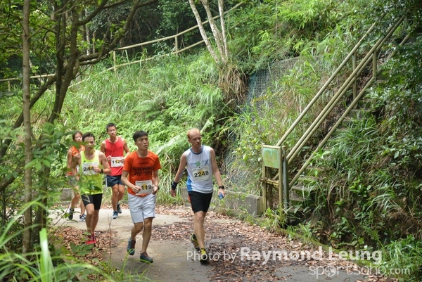 Raymond 296