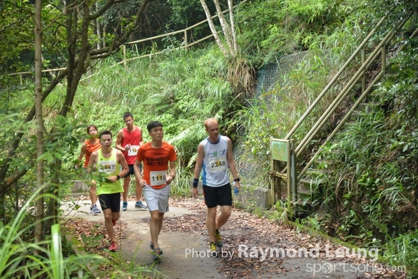 Raymond 297