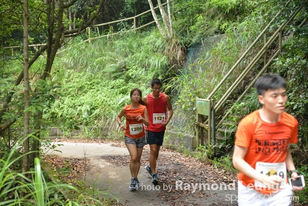Raymond 298