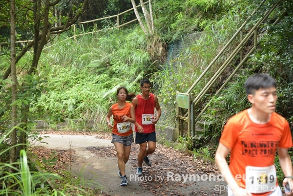 Raymond 299