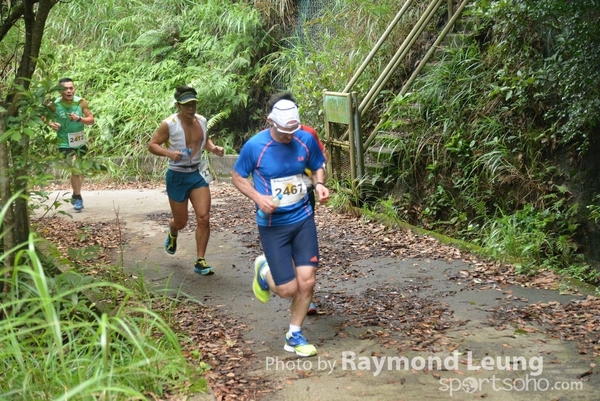 Raymond 312