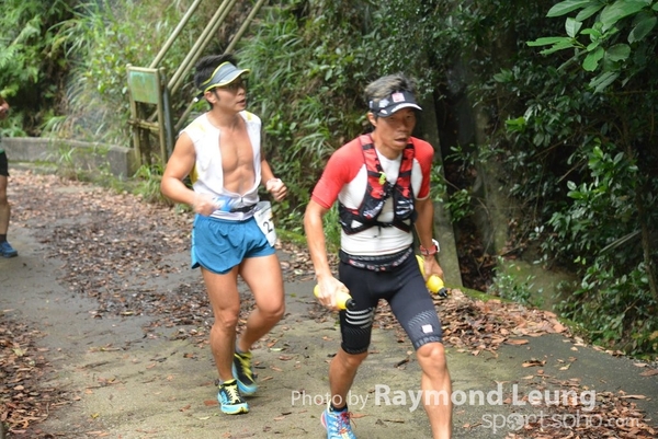 Raymond 313