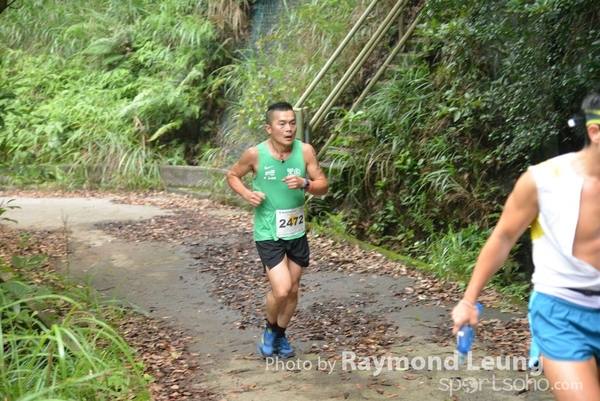 Raymond 315