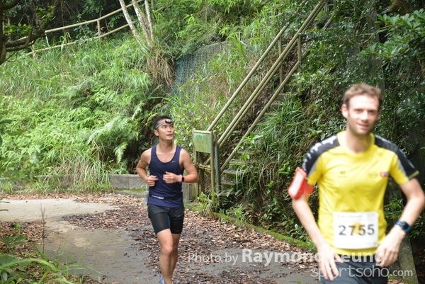 Raymond 319