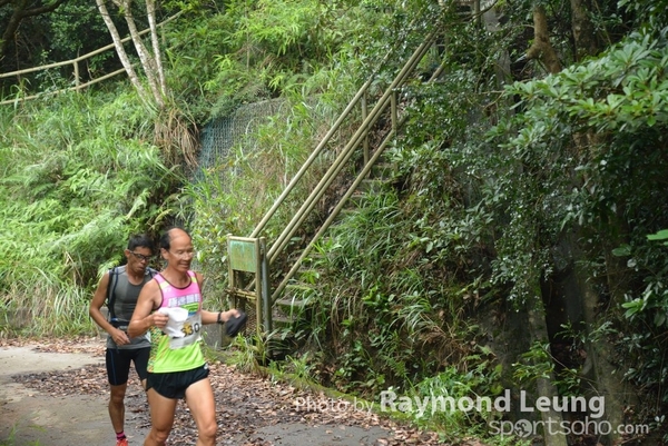 Raymond 320