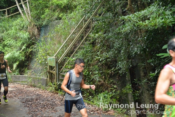 Raymond 321