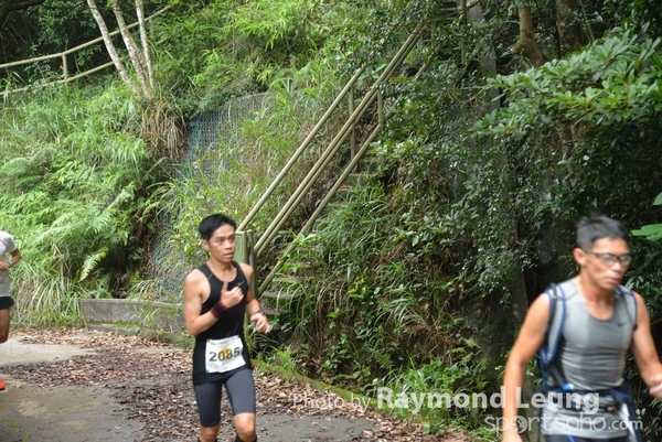 Raymond 323