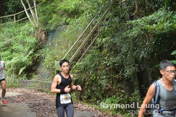 Raymond 324