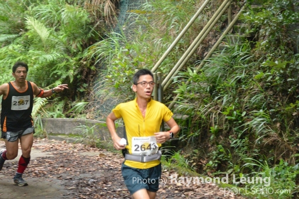 Raymond 331