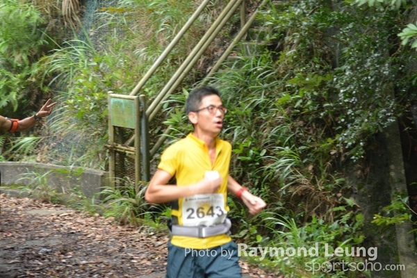 Raymond 333