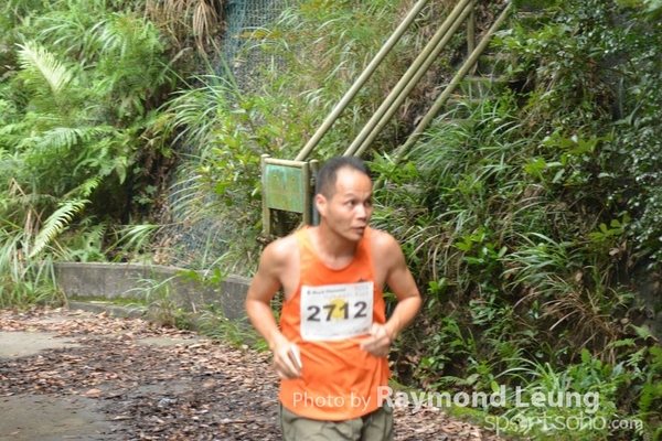 Raymond 335