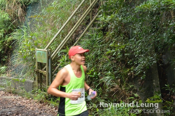Raymond 336