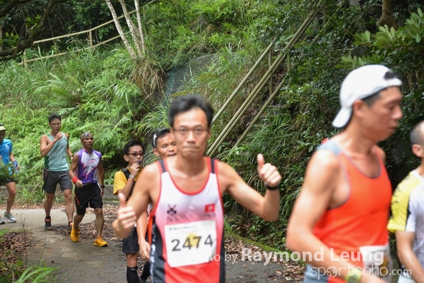 Raymond 366