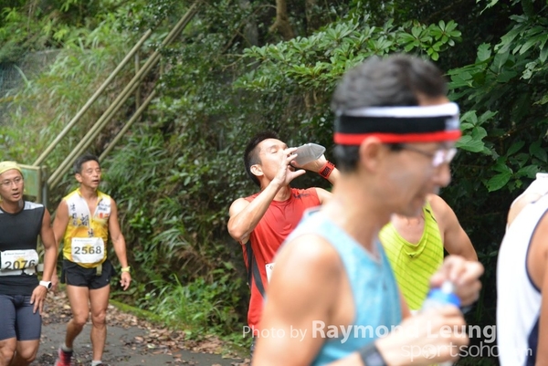 Raymond 383