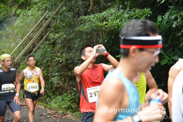 Raymond 384