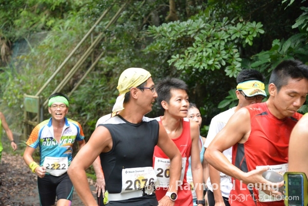 Raymond 391