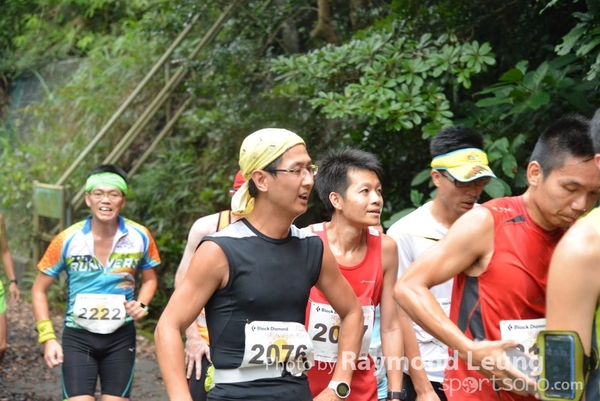 Raymond 392